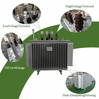 Transformateur de distribution immergé dans l'huile APEX S13-M 400-2500 kVA 33-35 kV 380-415 V Triphasé 50 Hz 60 Hz pour postes de transformation des réseaux électriques