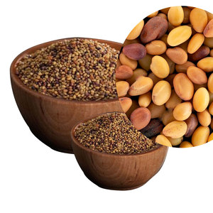 Trébol de Berseem |   Adecuado para la Cosecha de Múltiples Cultivos - Product Image 3