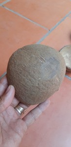 Bol de noix de coco cru fournisseur vietnamien pour contenir bougie et nourriture pour oiseaux à prix compétitif - Product Image 4