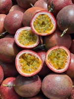 Hoge kwaliteit premium verse passievruchten uit Vietnam, zuurzoete smaak, GMO-vrij, geschikt voor dranken en de voedingsindustrie, rechtstreeks.