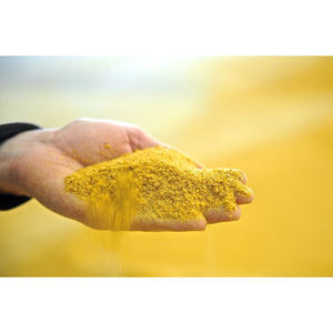 Suministro de DDGS Personalizado para Molinos de Alimentos, Empaquetado a Granel Confiable y Logística de Exportación - Product Image 4