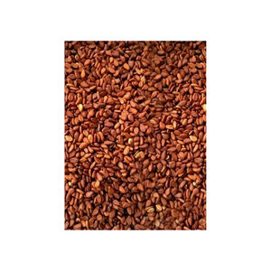 เมล็ดงาออร์แกนิคเกรดเอสีน้ำตาลจากออสเตรีย - Product Image 4