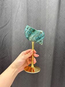 แก้วไวน์เปลือกหอยเปลือกหอยของแท้คุณภาพระดับพรีเมี่ยมทำด้วยมือไม่ซ้ำใครและมีสไตล์ที่สมบูรณ์แบบสำหรับการตกแต่งจำนวนมากขายส่ง - Product Image 5