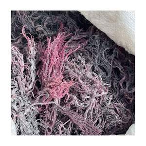 Wildcraft Organic Sun Dry Irish Sea Moss sin sal de Vietnam Purple SeaMoss Materia prima para hacer gel de musgo marino - Product Image 6