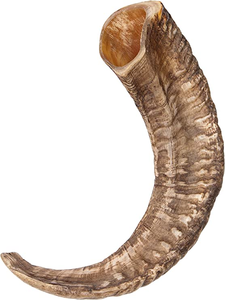 Shofar en corne de bélier polie naturelle, casher, décoratif, style nautique, écologique, taille personnalisée, décoration d'intérieur - Product Image 3