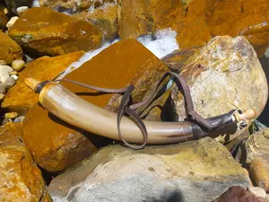 Corne à boire de buffle naturelle moderne Corne à poudre polie pour décoration - Product Image 3