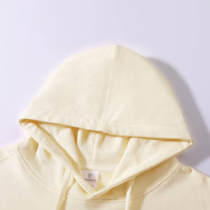 Lightweight 280 GSM Hoodies Comfortable Cotton Unisex Sweatshirts Casual Fashion Wear Factory <b>Direct</b> Wholesale Supply - Product Image 3