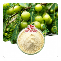 Poudre de jus de fruit d'Amla de qualité alimentaire en vrac pour les fournisseurs mondiaux de produits nutritionnels