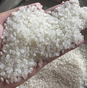 [Muestra gratis] Bolsa de vacío OEM Japonica arroz 5% roto (arroz redondo de Vietnam) Calrose/ sushi/grano corto riz arozz - ANNA DO VILACO - Product Image 4