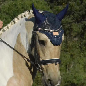 Cheval Fly Bonnet Fly Veil Oreille Bonnet Equine Tack Produits Équestres Équitation Produits Équestres En Gros Sur Mesure - Product Image 2