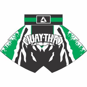 Vêtements de combat de haute qualité Shorts de Muay Thai à sublimation personnalisés Shorts Muay Thai d'arts martiaux - Product Image 5