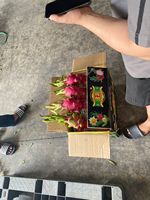 Drakenvrucht Vietnam Tropisch Vers Hoge Premium Kwaliteit TECHMIFOOD Merk 60 Dagen Houdbaarheid Redelijke Prijs Export Standaard