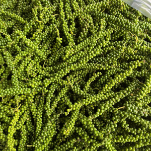 Pimienta Verde en Grano IQF, Especia Fresca Natural y Congelada en su Máxima Calidad - Product Image 5