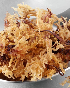 HIGH-QUALITY <b>DRIED</b> SEA <b>MOSS</b> EXPORTER 100% NATURAL SEA <b>MOSS</b> - Product Image 6
