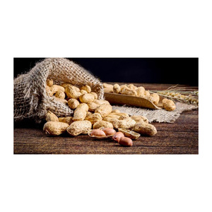 Best Price Dried Raw <b>Peanuts</b> / <b>Peanuts</b> In-shell Bulk Stock Available With Customized Packing - Product Image 6