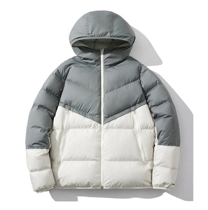 Veste bouffante personnalisée de haute qualité pour hommes Manteau d'hiver multicolore brillant à la mode Veste bouffante en tissu du fabricant direct pour hommes - Product Image 1