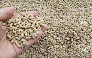 เม็ดเชื้อเพลิงชีวมวล เม็ดไม้สน 6 มม. A1 / เม็ดไม้ยุโรป 8 มม. DIN PLUS / เม็ดไม้ - Product Image 4