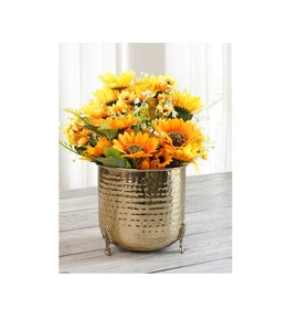 Maceta de Metal Elegante con Aspecto Dorado Pulido, Diseño Ecológico, Orificio de Drenaje para Decoración de Interiores del Hogar y Jardín - Product Image 1