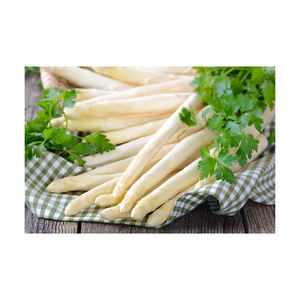 Espárragos blancos congelados al por mayor ideales para los mercados culinarios globales - Product Image 1