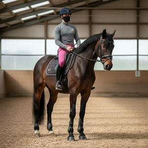 Pantalons d'équitation durables pour hommes, leggings de sport durables avec genouillères et poches zippées pour l'entraînement - Product Image 4