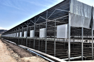 دفيئة زراعية على طراز فينلو مع نظام تظليل خارجي لزراعة الفراولة - Product Image 4