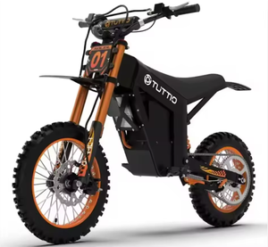 Nueva Motocicleta Eléctrica Tuttiioo 2024, Grado Industrial, Garantía OEM de 3 Años - Product Image 2
