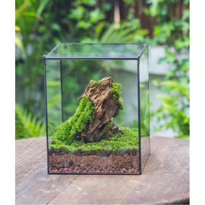 Top vente décoration de la maison en laiton Mini verre géométrique Terrarium Vase verre clair noir fini pour la décoration de table et la décoration de la maison - Product Image 3