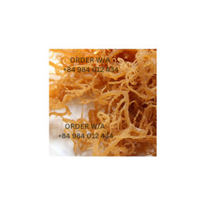 Encuentre las mejores ofertas en Golden Irish Sea Moss, 100% Wildcrafted Sea Moss para una salud y bienestar óptimos - Product Image 1
