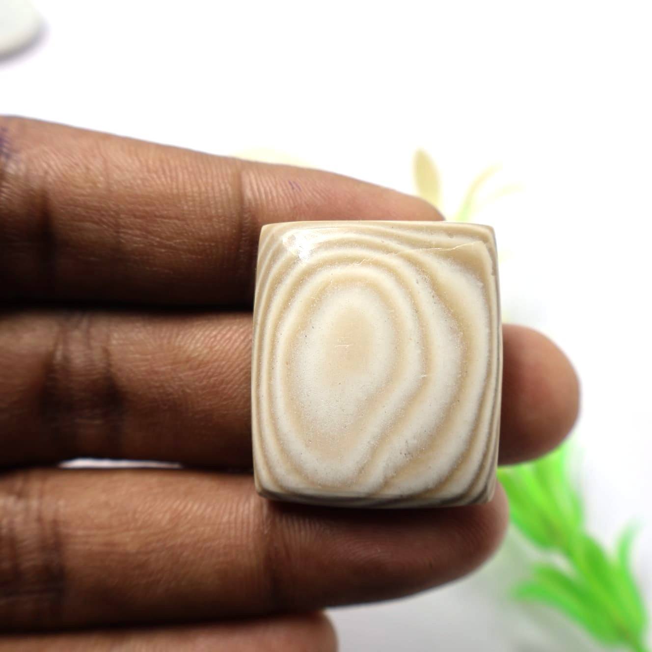 เห็นเป็นภาพ