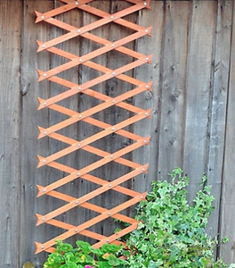 Panneaux de treillis en bois FSC 100% pour plantes grimpantes - Product Image 2