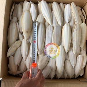 แคลเซียมสำหรับกัดแทะนกและนกกระตั้ว0084935825297 - Product Image 2