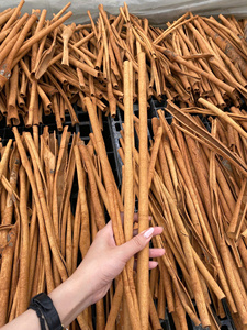 Cigarettes à la cannelle Cassia à haute teneur en huile, qualité export, fournisseur vietnamien, prix bas, meilleures ventes, en vrac - Product Image 5
