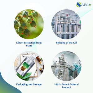 Huile de ricin indienne pure à 100% de haute qualité Salvia |   Ricinus Communis L |   Huile essentielle pure pour les soins de la peau et la santé - Product Image 4