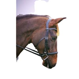 Brida anatómica-Negro - Product Image 1