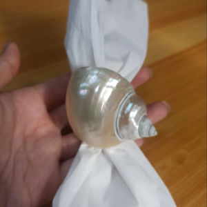 แหวนรองผ้าเช็ดปาก แหวนใส่ผ้าเช็ดปาก รูปทรงเปลือกหอย สำหรับผู้จัดงานอีเว้นท์ระดับนานาชาติ และอุตสาหกรรมบริการ - Product Image 1