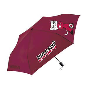Paraguas Plegable con Gráficos de Impresión Digital para Sol y Lluvia - Product Image 1