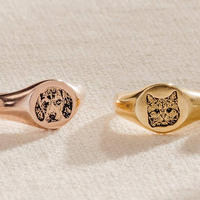 Anillo Ajustable de Acero Inoxidable Moderno con Grabado Personalizado para Aves y Reptiles - Accesorios Ecológicos, Ligeros y Reutilizables para Mascotas