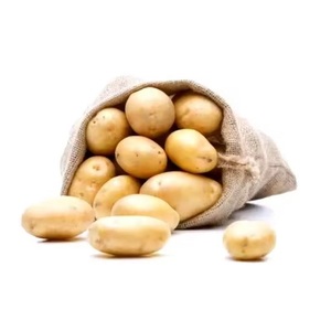 มันฝรั่งไอริชสดออร์แกนิก รูปทรงกลม ผลิตในฝรั่งเศส สำหรับส่งออก - Product Image 1
