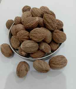 NUTMEG SS 10-25Kg par boîte Durée de conservation de 1 an Utilisation de légumes et d'épices - Product Image 1