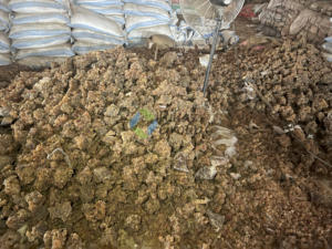 Poudre séchée par pulvérisation polyvalente d'additifs naturels sûrs et inoffensifs de gomme arabique d'acacia pour l'agriculture - Product Image 2