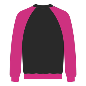 Delta Psi Rho Sorority Raglan <b>Sleeve</b> Crewneck <b>Sweatshirt</b> Black Cotton Poly Founding Year 2020 Jumper Greek Life Casual Apparel - Product Image 3