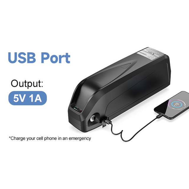Hailong G80 48V 20Ah Downtube Lithium Ion Electric Bicycle Battery for Ebike