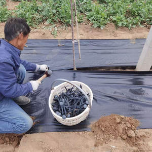 Protección de árboles Barrera de malezas Esteras de tela Estera de control de malezas precortada ecológica con agujero alrededor de los árboles - Product Image 6