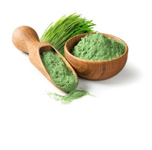 Fournisseur en vrac de poudre d'herbe d'orge Inde Fournisseurs de poudre d'herbe d'orge Fournisseur d'herbe d'orge - Product Image 2