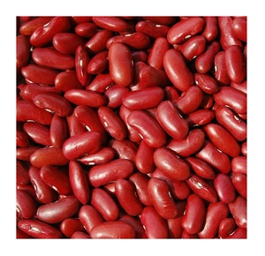 Haricot rouge à bas prix disponible en grande quantité Haricots naturels idéaux pour la consommation humaine et la transformation des aliments - Product Image 6
