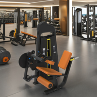 Offre Spéciale : Machine d'Extension et de Flexion des Jambes en Acier Gris pour la Musculation en Salle de Sport – Machine Assise pour Bras et Jambes