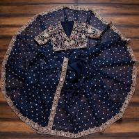 Boutique indienne Look riche Créateur à la mode Exportation la dernière exclusivité Royal Fancy Saree Fancy Ethnic Party Wear Femmes Filles