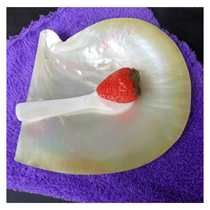 Cuillère en nacre faite à la main pour les coupes à dessert, les services à thé et les emballages cadeaux, Vietnam - Product Image 6