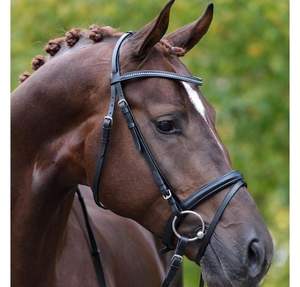 Haute qualité personnalisé Antares Western bride en cuir véritable Dressage Snaffle équipement meilleur prix cheval produits - Product Image 2