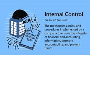 Herramienta de Auditoría Interna y Reconciliación de Transacciones - Versión Internet Compatible con Múltiples SO (Linux/Mac) Soporte Técnico 24/7 - Product Image 4